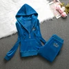 2025 Women Hooded Velvet Tracksuit Warm Two-Piece Set Velvet Tracksuit Crystal Pattern Jacket + Casua Long Pants 2Pcs 4