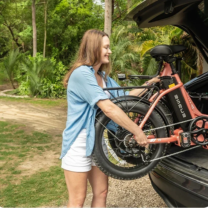 Electric Bicycle engwe L20 750w motor 48v 13ah lithium battery adult Electric Bike 20 inch fat tire fold Urban leisure E-bike