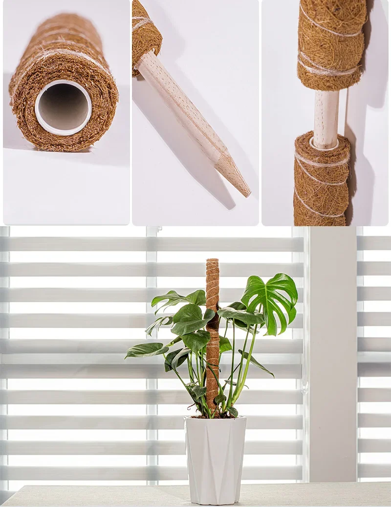 Plant Climbing Support Plant Support Stick Coconut Palm Sticks for Gardening
