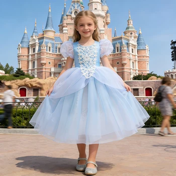 Cinderella Princess 1