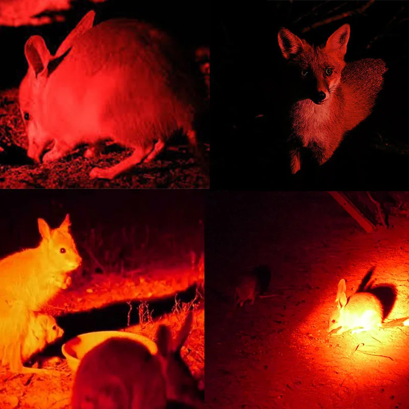 Рисунок 2 - 500 ярдов 501B/C8/C8s Профессиональный зеленый