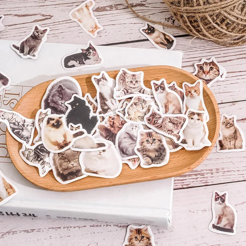 45pcs Cute Kitten Selfie Stickers Kawaii Animals Notebook Planner Decorations Index Label Tags Korean Stationery Office Supplies