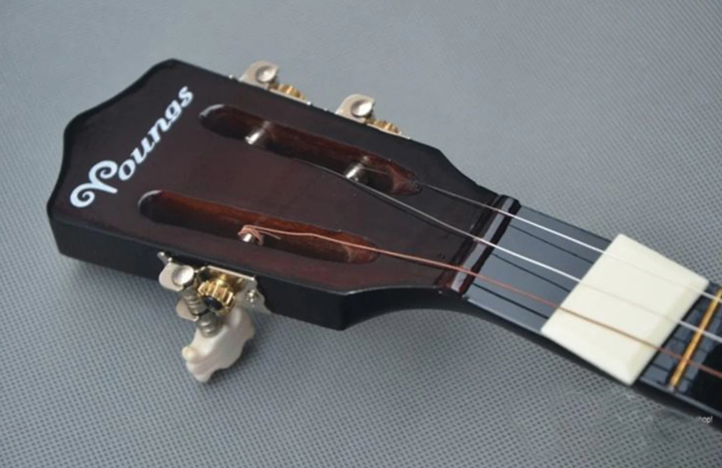 Qinqin Chinese plucked stringed instruments