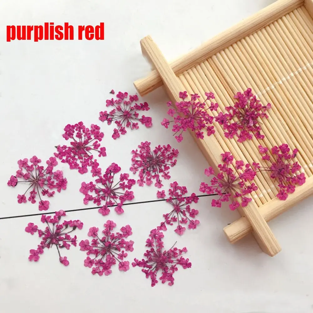 purplish red-