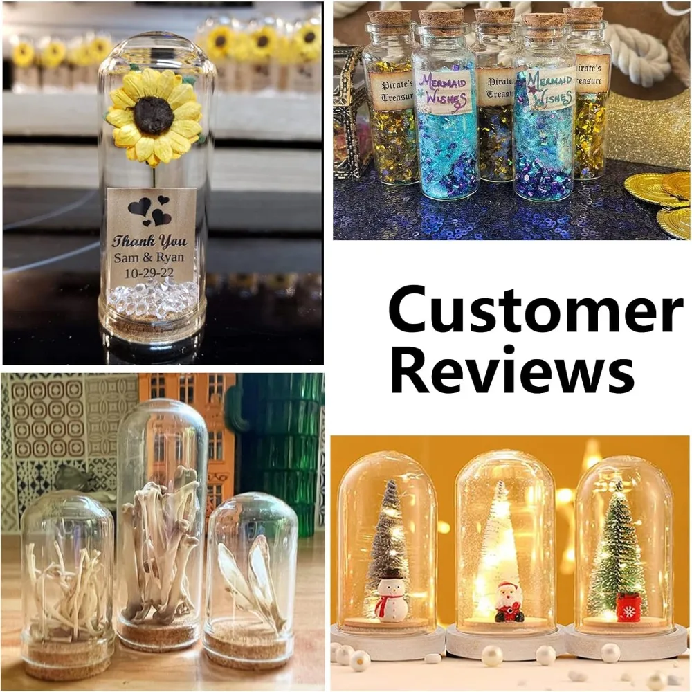 1 Box Cloche Bell Jar Display Dome with Cork Base 8ml Mini Glass Bottles Dome Decorative Jars Display Case for Flower Storage storage box