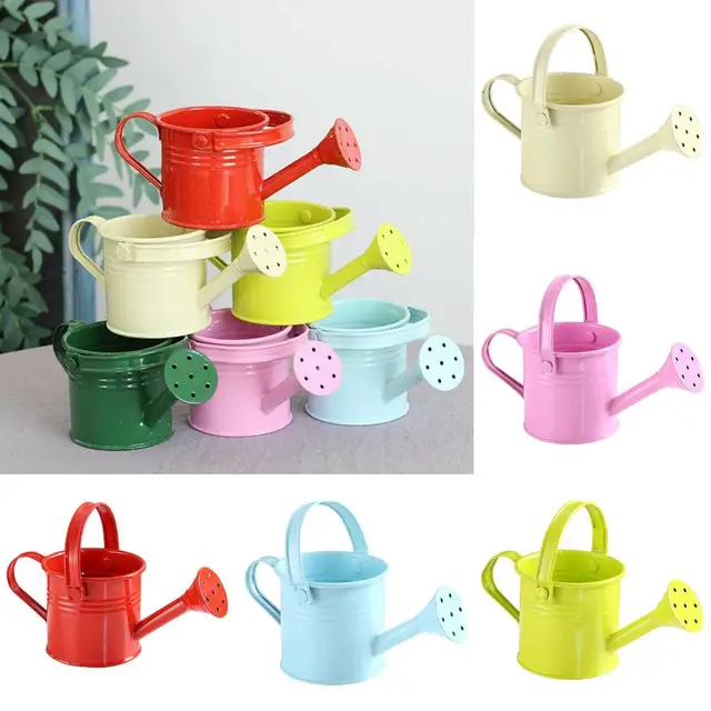 Garden Mini Vintage Flower Kettle Water Spraying Pot Metal Watering Can 2