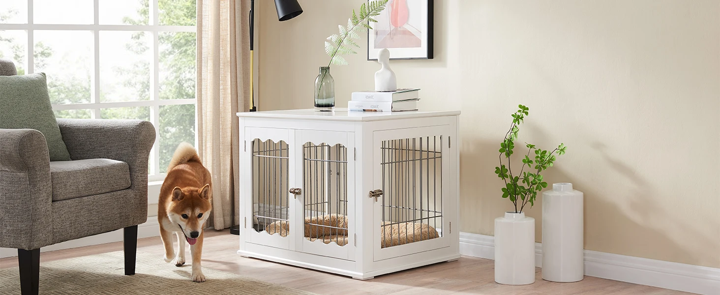 white dog crate use as a end table beside the sofa and window, a dog walk around the dog crate
