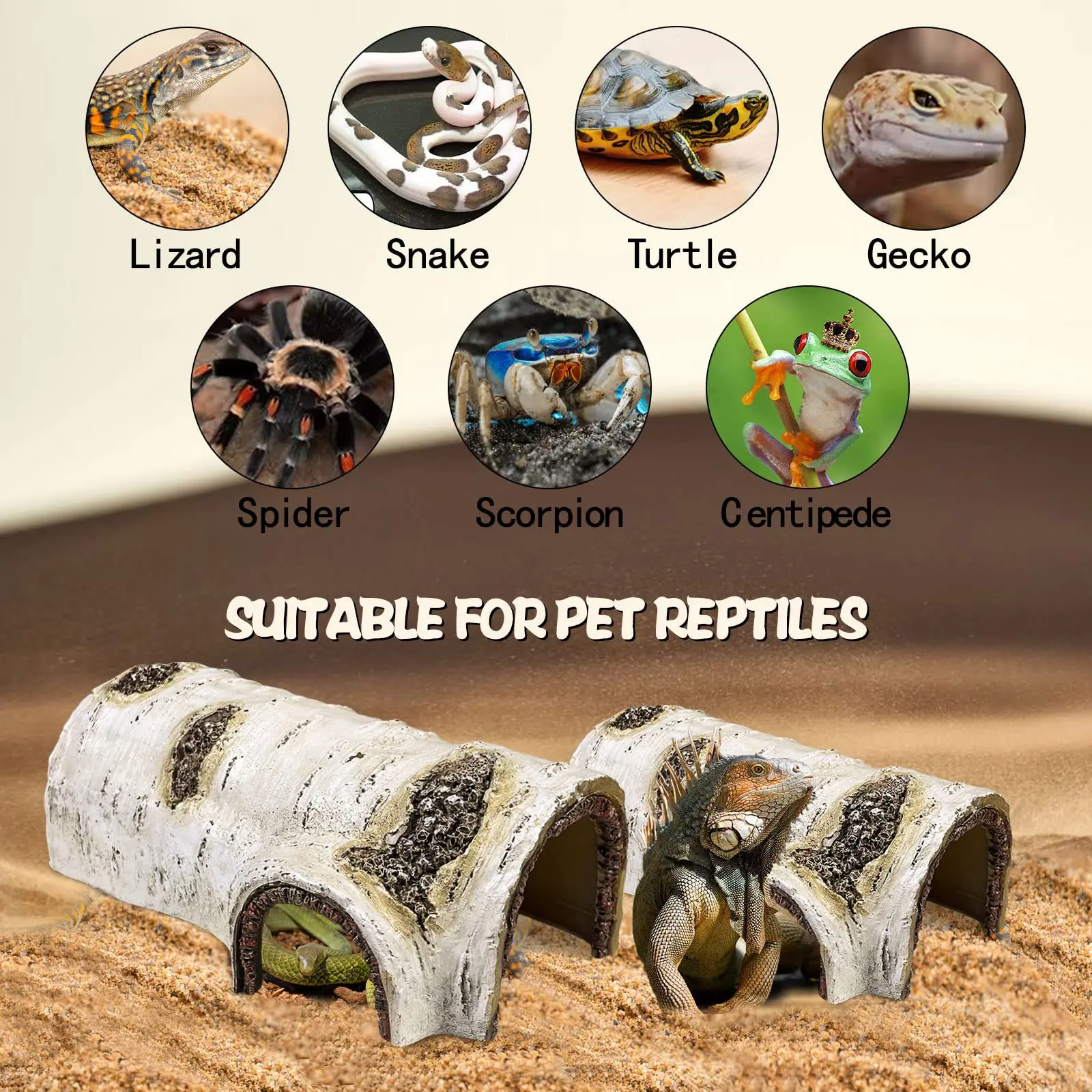 Reptile Breeding Box 3