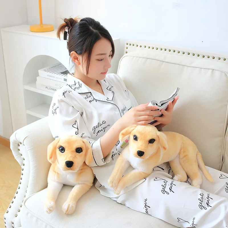 S683d2a133591479cad3abea561b7d168X - Golden Retriever Gifts