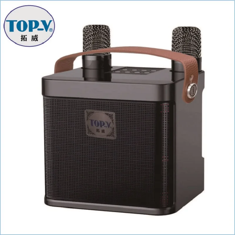 Portable wireless Bluetooth karaoke audio