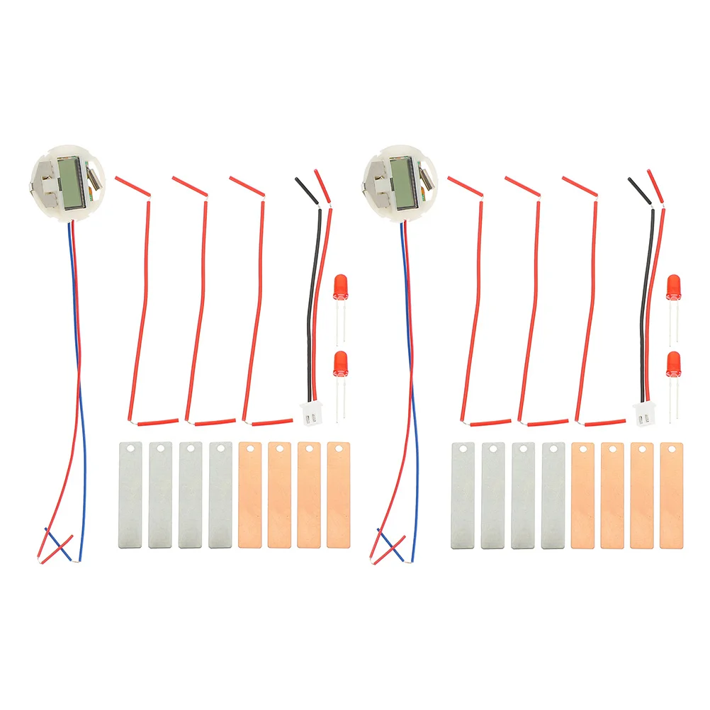 

2 Sets of Fruit Experiment Kit Fruit Generation Toy Energy Science Kit