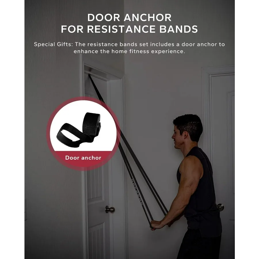 Pull Up Assistance Bands Set of 5 - Resistance Bands for Working Out, Stretching, Physical Therapy, Muscle Training