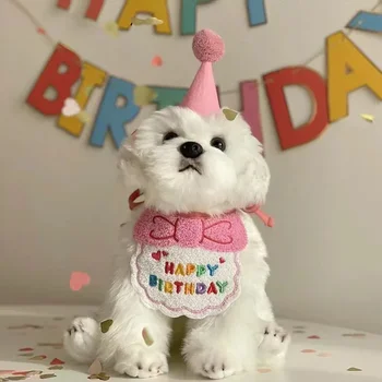 Pet Birthday Hat Set 1