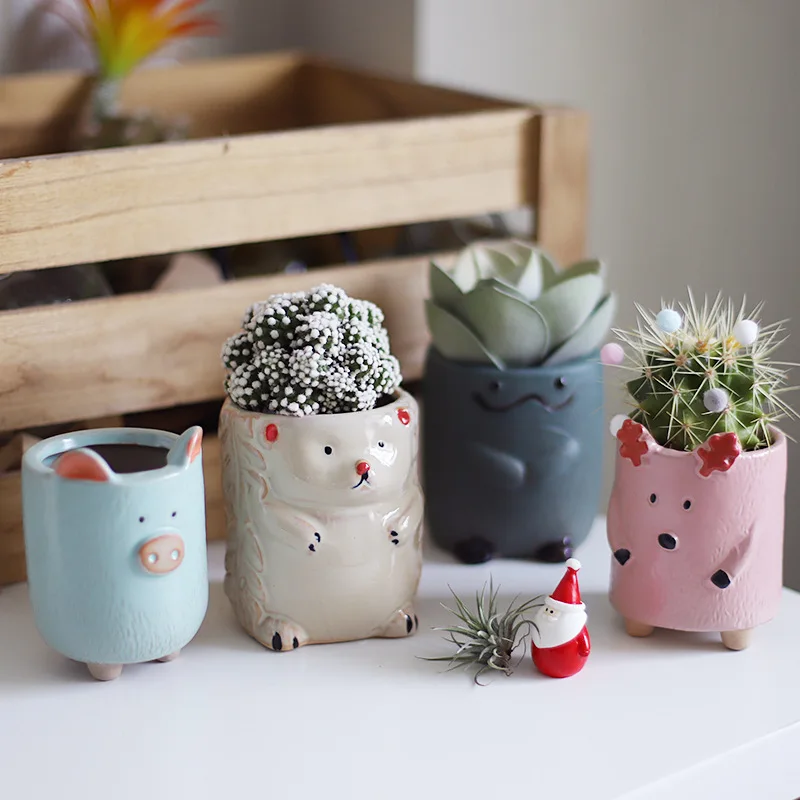 

Animals: Owl, Succulent Plant, Flower Pot Ornaments, Creative Cute Cartoon Meat, Juicy Small Flower Pot Wholesale