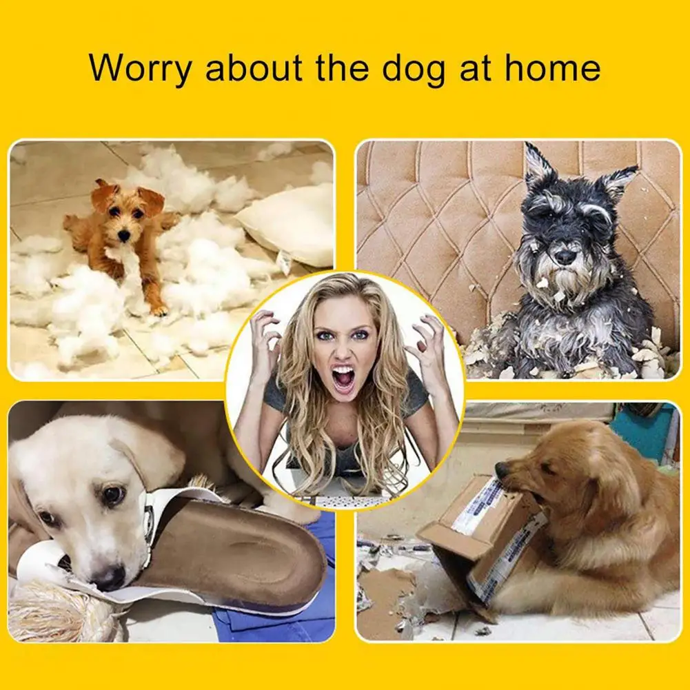 S68425f2be07e4d16a5cfb660d7fde9779.jpg?width=1001&height=1001&hash=2002
