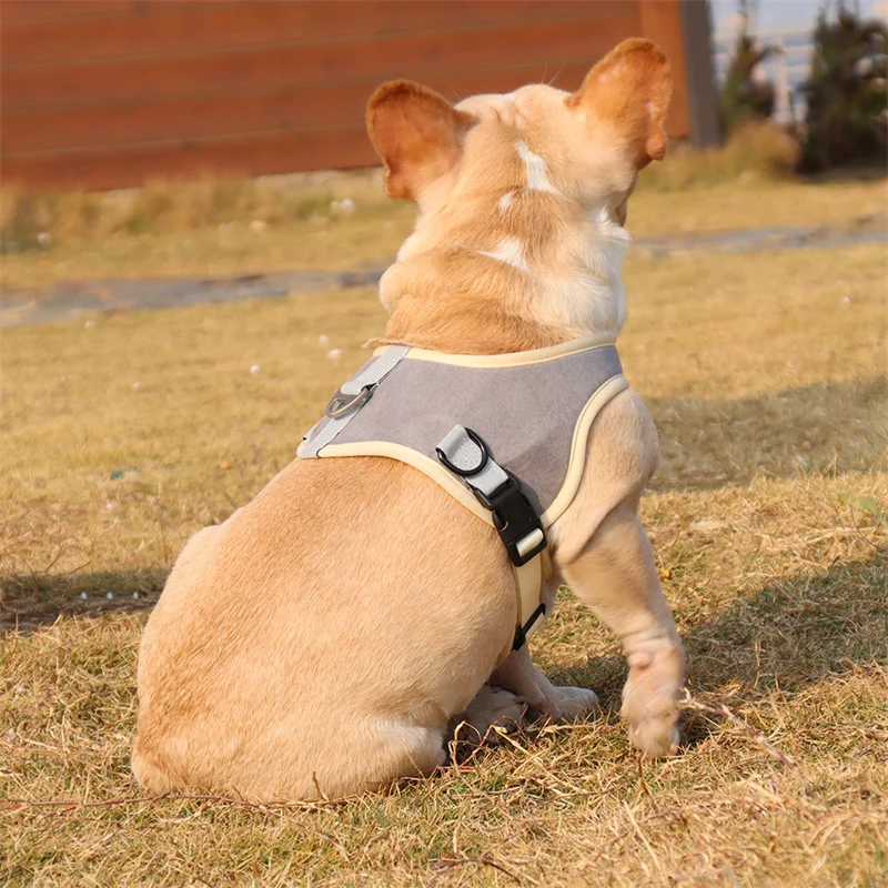 corgi harness