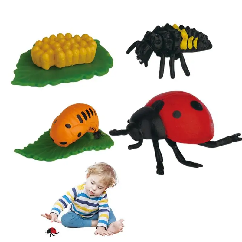 

Montessori Life Cycle Animal Growth Cycle Biological Model Preschool Learning Activities & Science Toys Fun Learning Game For Bo
