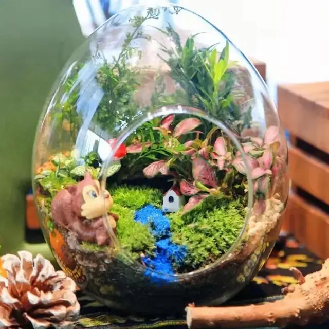 Sphagnum Moha Növény Természetes Cserepes Keveréke Száraz Tőzeg Hidratáló Orchidea Zamatos Növényi Gyökerek Növekedési Műtrágya - Image 3