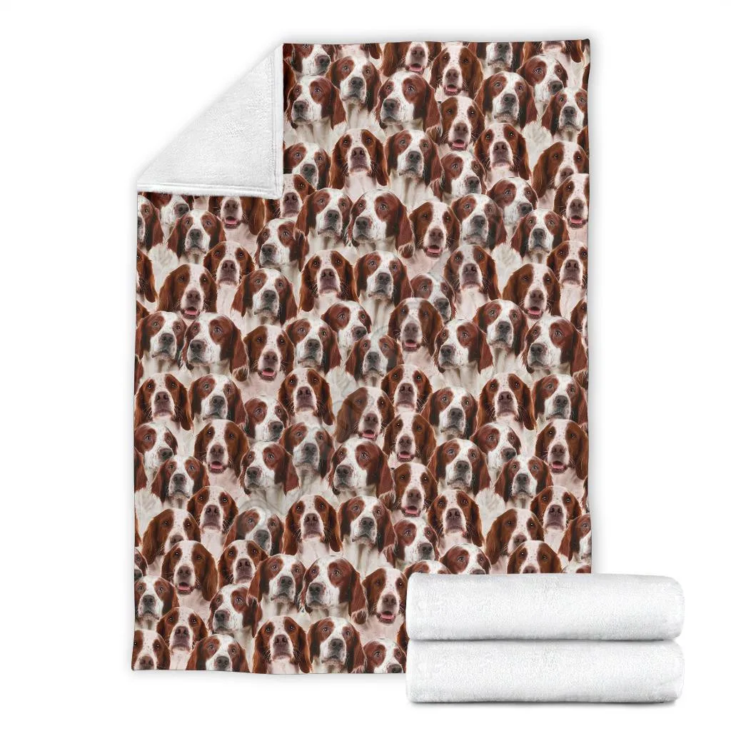 PLstar-�ڽ��� �̺��� �Ͽ�� Ǯ ���̽� ���, 3D ����Ʈ ���, ��� ���� ����Ʈ ħ�� Ŀ�� ��Ʈ �÷��� ���