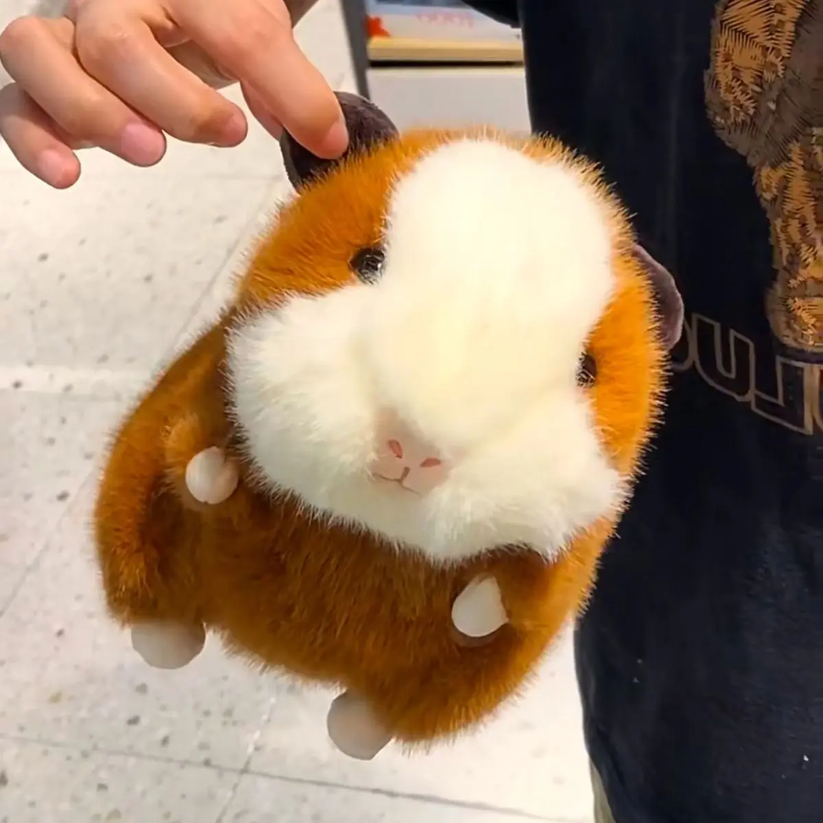 Schattige cavia knuffel - België