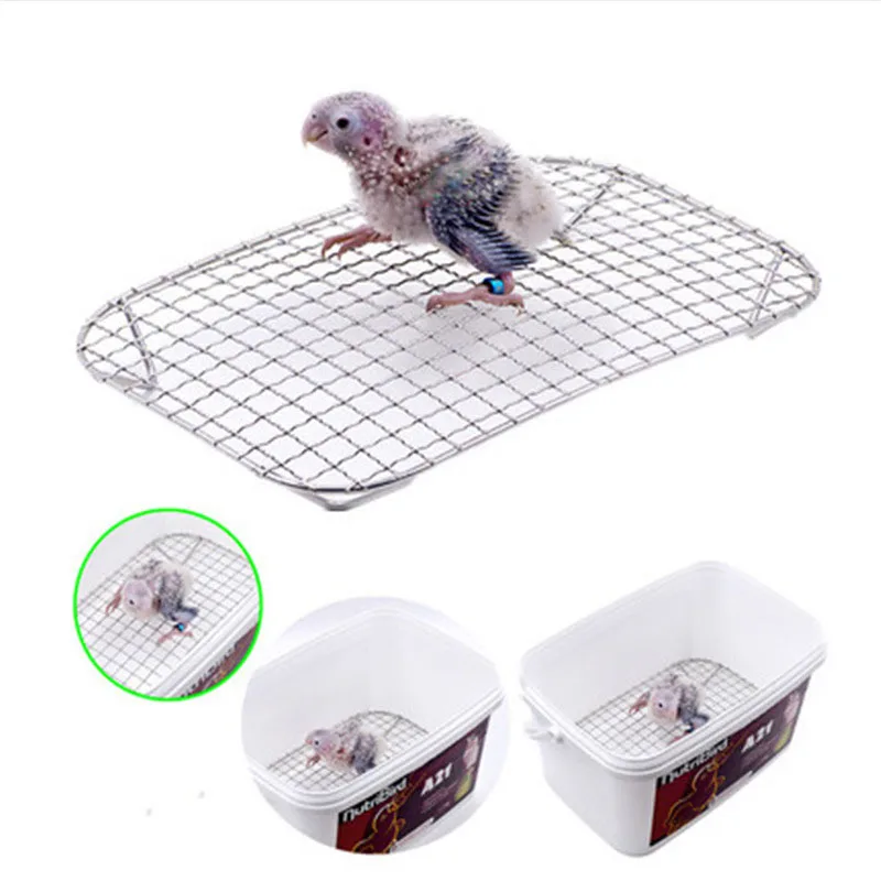 Breeding Parrot chick feeder feet treatment net bottom grid stand mesh pad Parrot brood Cockatoos breeder raise by Hand