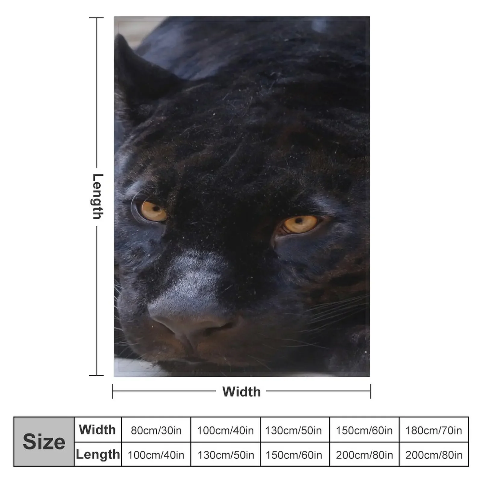 ���� �Ҽ� ������ ���, ǫ���� ���� �ö��� ���� �̺� ���