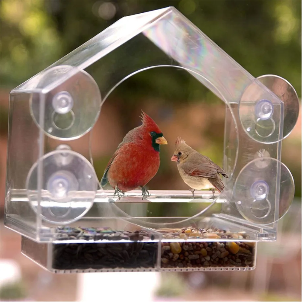 Acrylic Clear Glass Window Bird Feeder Hanging Food Feeding House Table Seed Peanut Suction Cup