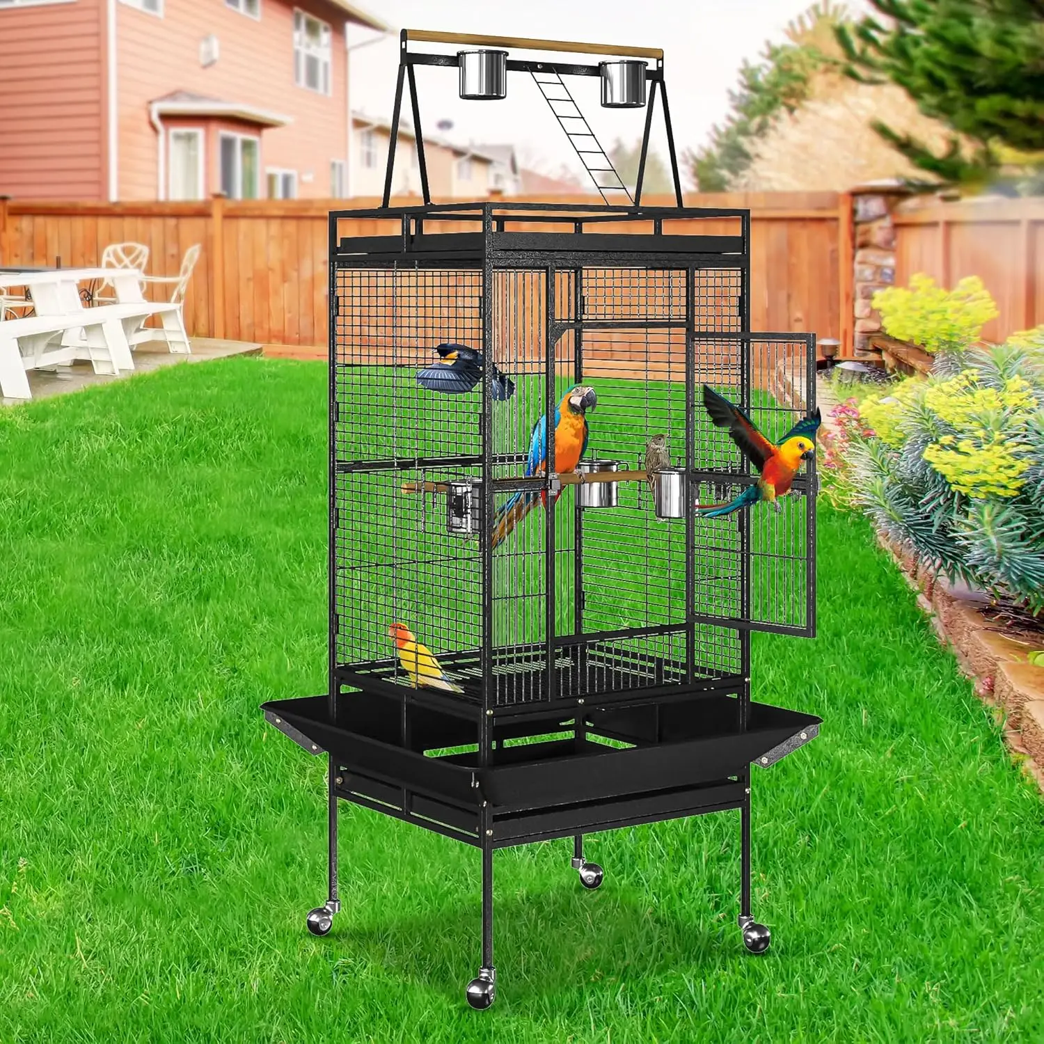 Standing Play Top Bird Cage for Larger Birds 4