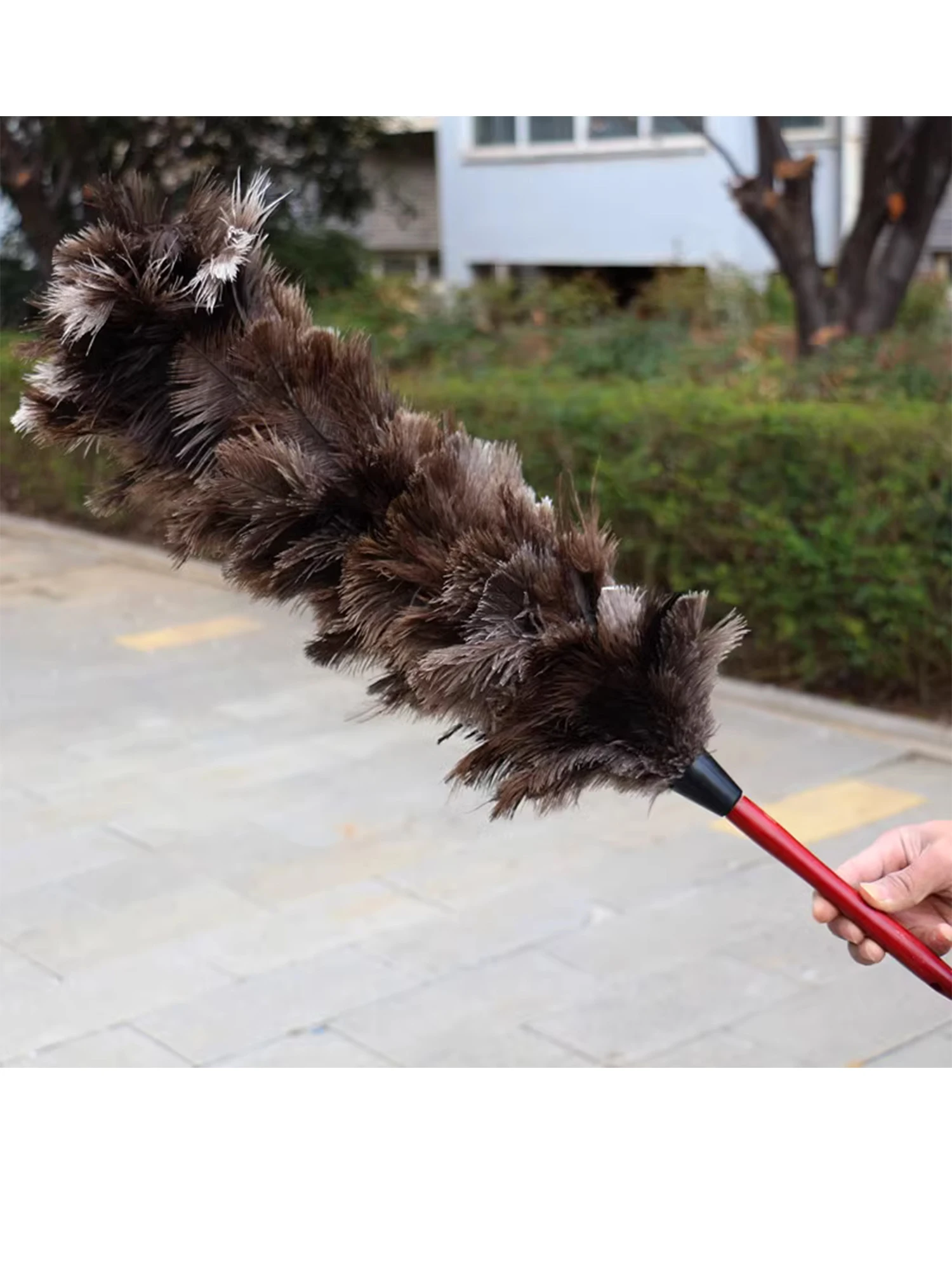 

Solid wood handle household thickened without shedding, soft and fluffy, clean gray ostrich feather brush, sweeping gray chicken