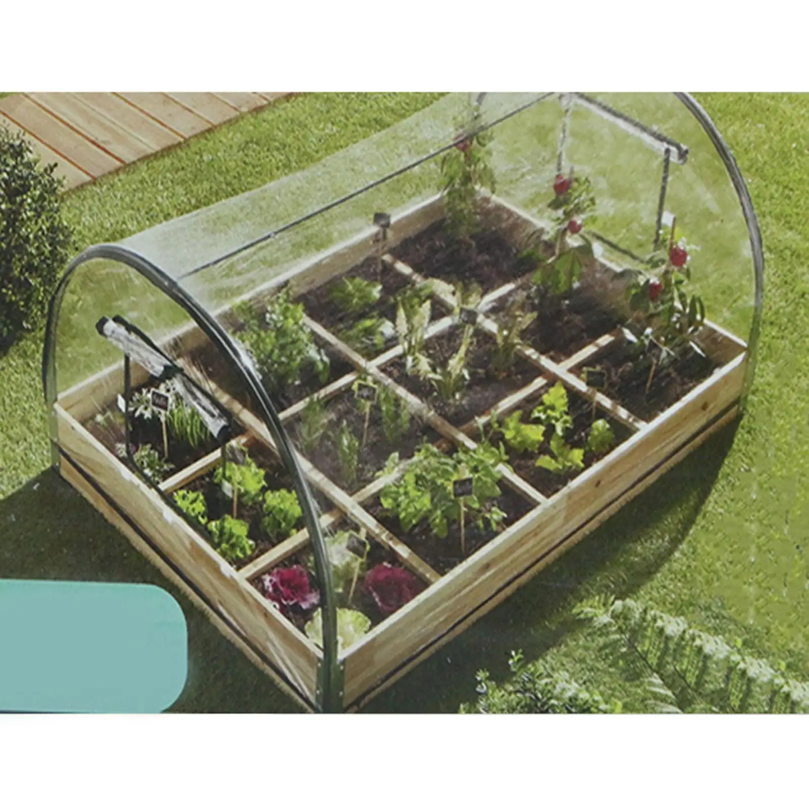 Mini Greenhouse Plants Gardening 1 Succulent Plants Greenhouse for Succulent Patio
