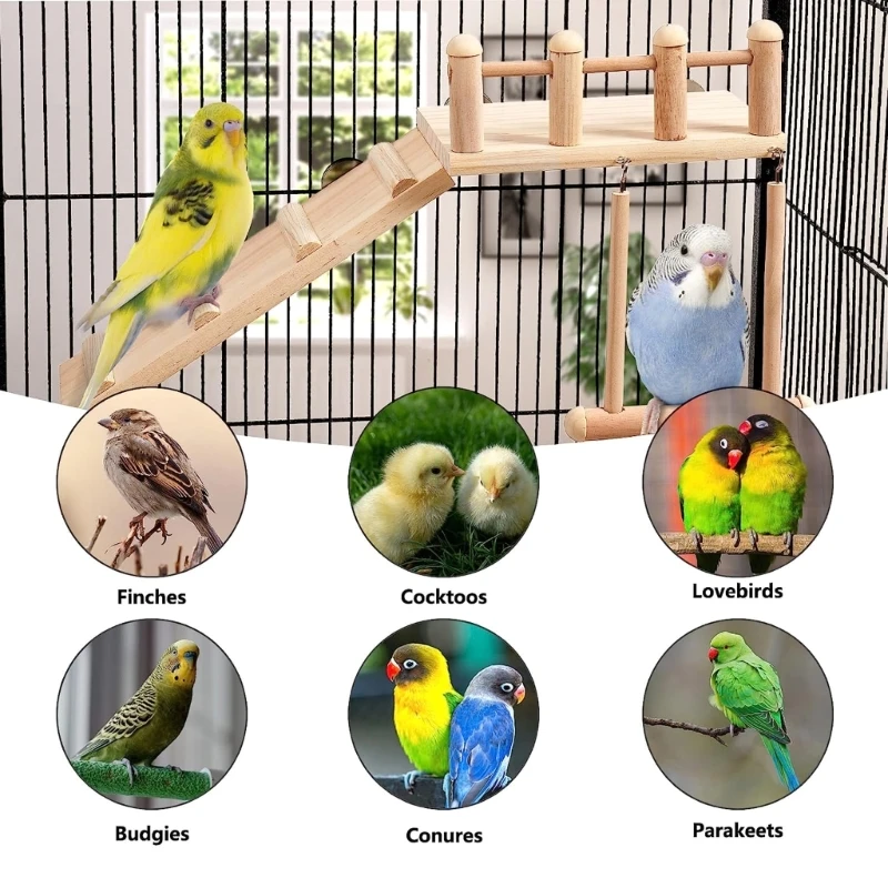 ޹  Perches  ÷ ڳ ĵ  ڳ  峭