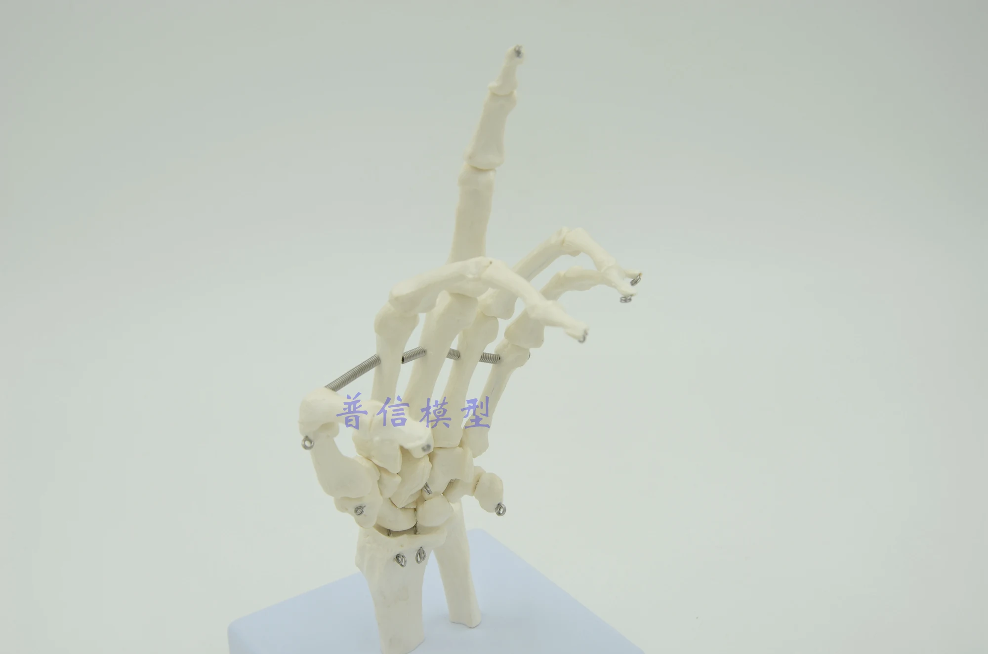 Human hand joint model hand skeleton model Medical Science teaching supplies