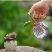 Plant Flower Watering Pot Spray Bottle Sprayer Planting succulents Kettle for Garden Small Garden Tools Supplies 6