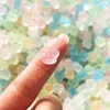 Cute Cat Foot Mini Kitten Paw Cat Paw Macaron Squishy Toy TPR Decompression Squeeze Toy Gifts 6