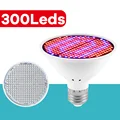 E27-300Leds