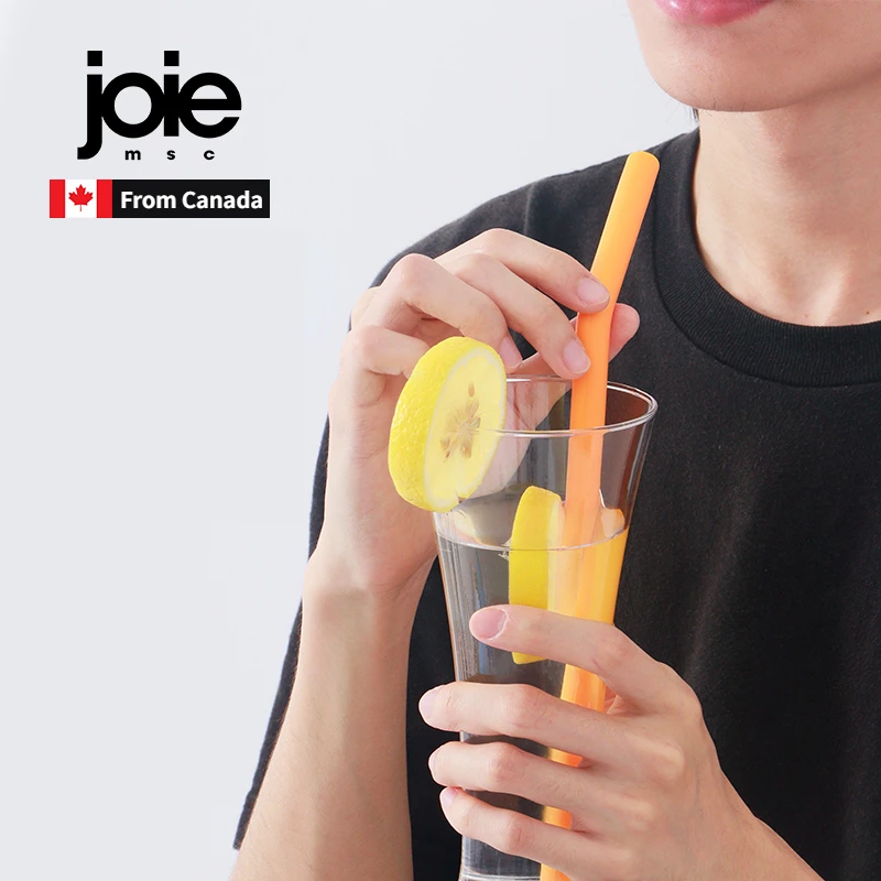  Joie Kitchen Gadgets t12788 Reusable Straws, Plastic : Health &  Household