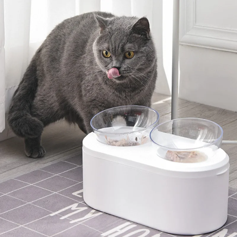 

Cat Dog Bowls with Raised Stand Elevated Pet Food Water Bowls 15 Degree Tilt Pet Bowl Stress-Free Suit for Cats Small Dogs