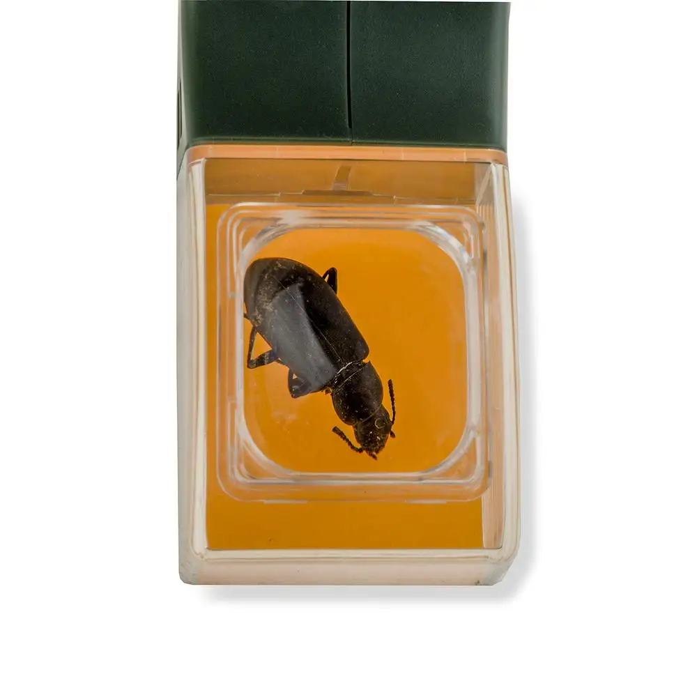 Description Picture 4 of itemPortable Fly Catcher Insect Catcher Handheld Fly Grabber Spider Catcher Bug Insect Catching Tool Insects Trap Kids Nature Toys