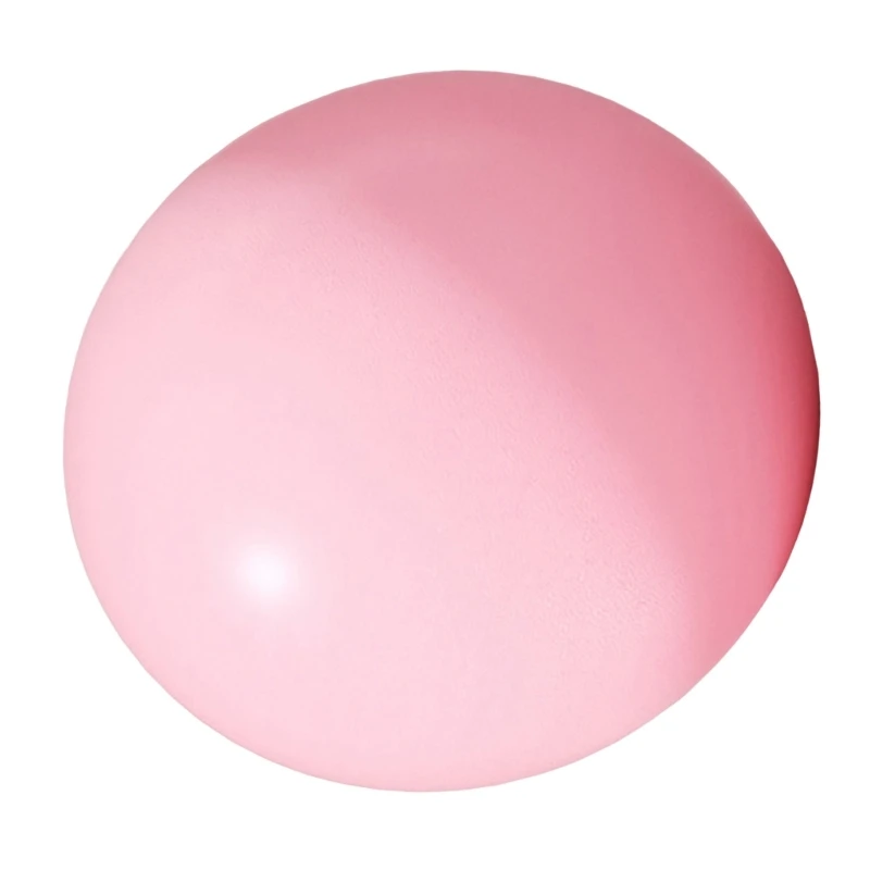 Yoga Ball Gym Ball for Home Gym Pilates Yoga Training, 25cm 10Inch
