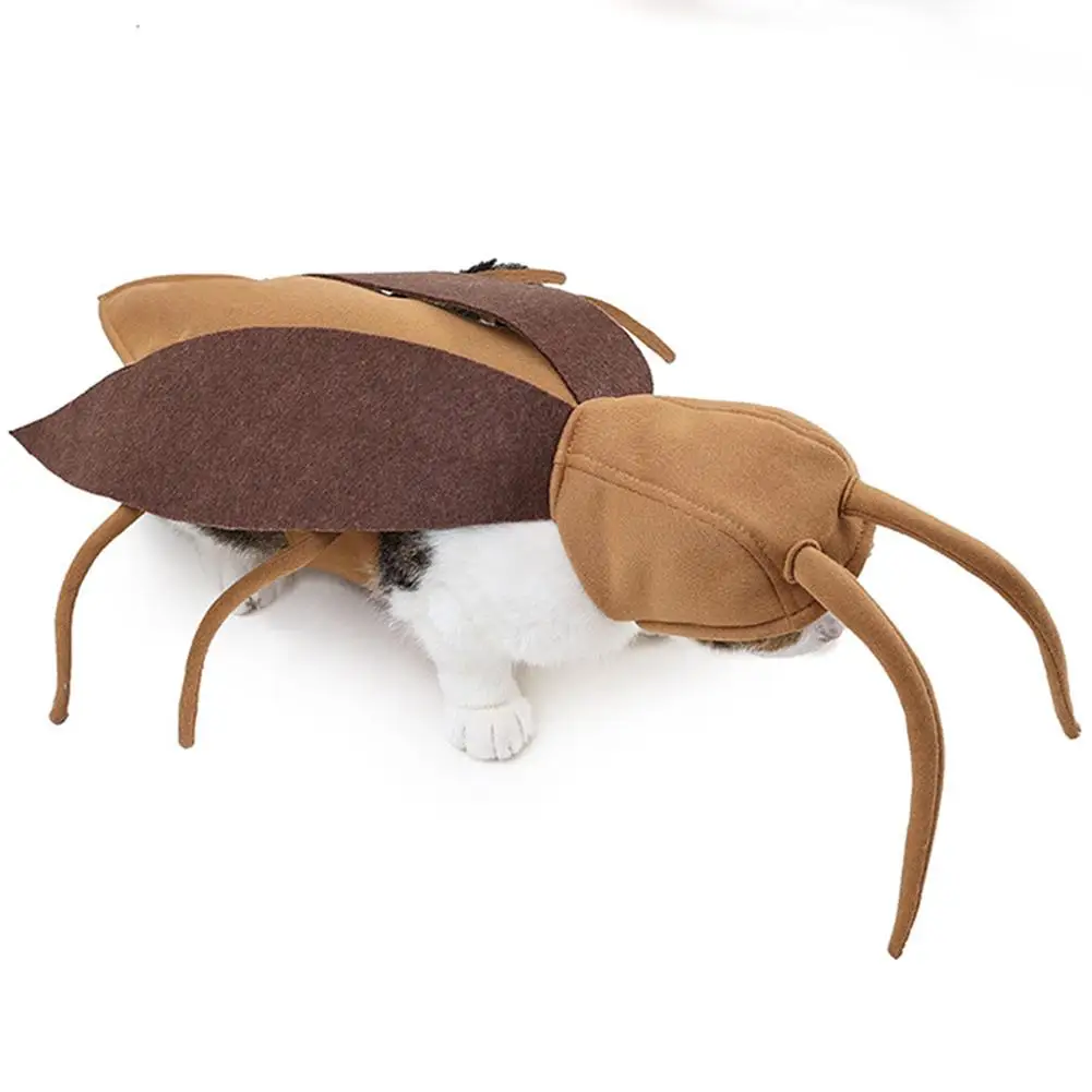 Halloween Cockroach Costume for Cats and Small Dogs 3
