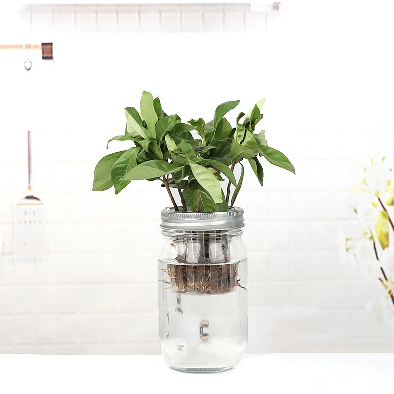 82mm Wide Mouth Sprouting Jar Lid Hydroponic Vegetable Bean Seedling Jar Sprouting Pot Plastic Lid Cover Drainage Net