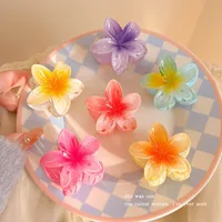 Flower Hair Claw Hawaiian Gradient, Mini Fashion Hair Clips for Women Baby Girls, Crab Barrette Headwear Hairpin Accessories - Image 4