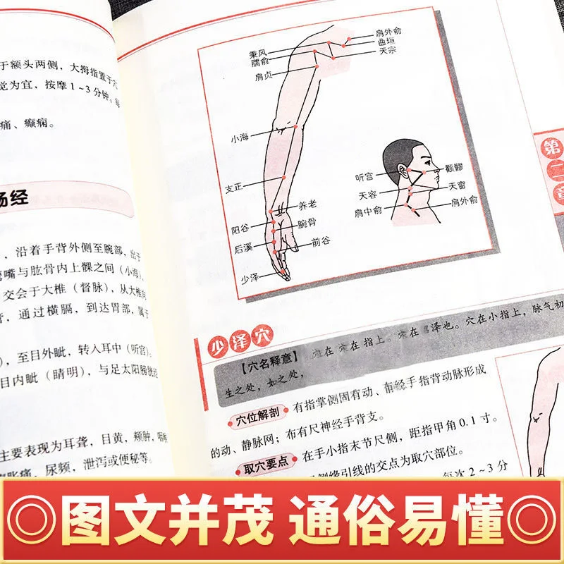 Рисунок 5 - Основное массажное средство zero