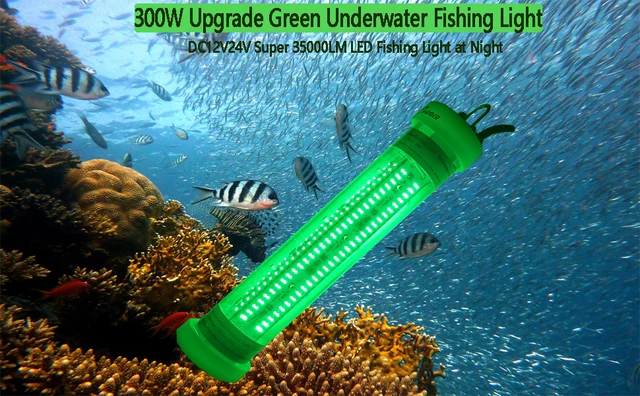 Night Fishing Lights Night Time Fishing Lights Red Rieadco Corp