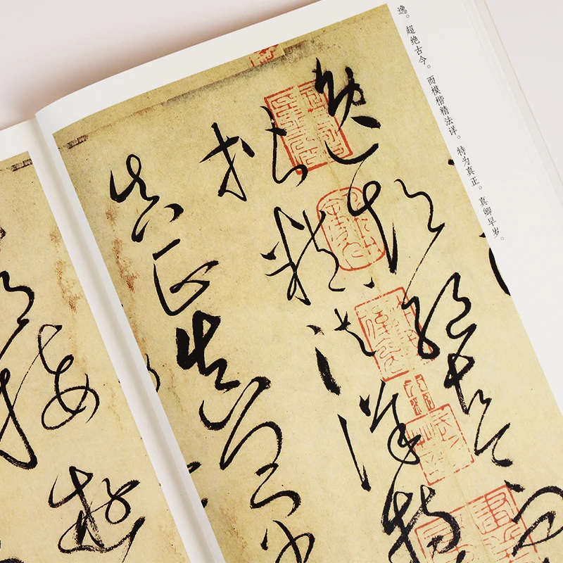 Cursive Copybook Sun Guoting Huai Su Brush Calligraphy Copybook Chinese Zhi Yongzhen Huang Tingjian Cursive Calligraphy Book