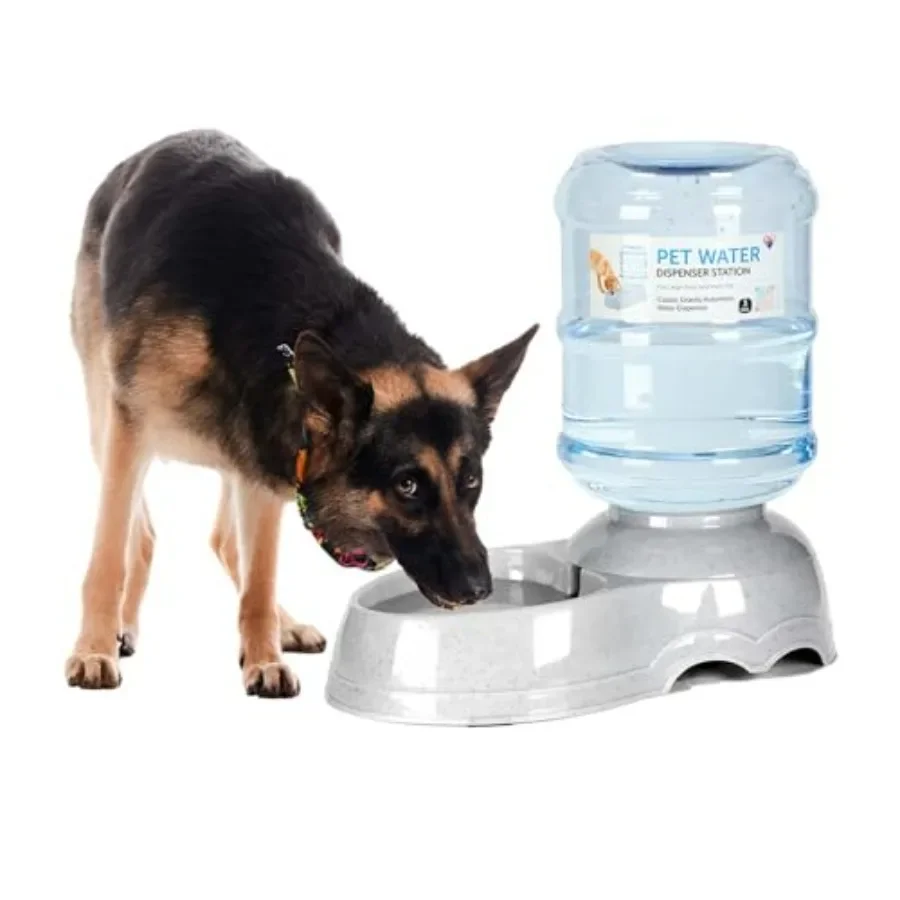 Automatic Gravity Powered Water Dispenser for Pets