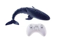 Whale