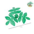 Leaves
