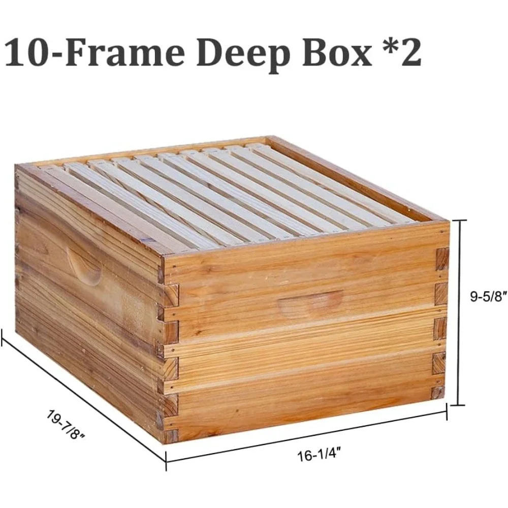 10 Frame Bee Hive Coated with Beeswax includes Beehive Frames and Waxed Foundations (2 Deep Boxes & 1 Medium Box)