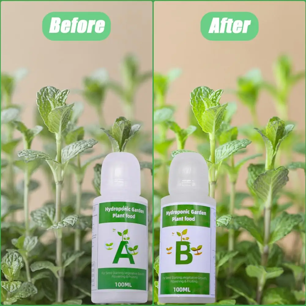 Description Picture 5 of item2Pcs/Box General Hydroponics Nutrient A And B For Plants Flowers Vegetable Fruit Hydroponic Soilless Culture Plant Food Solution